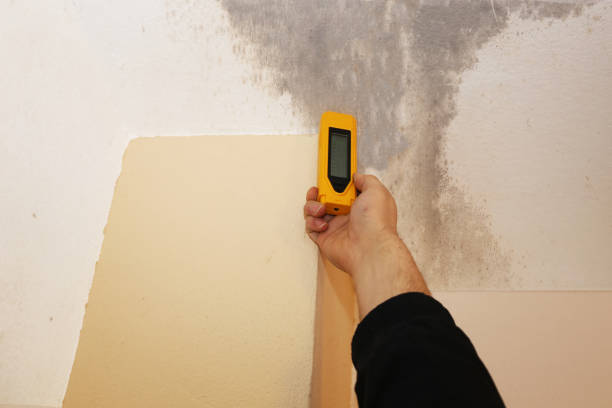 Mold Remediation for Rental Properties in Grandy, NC