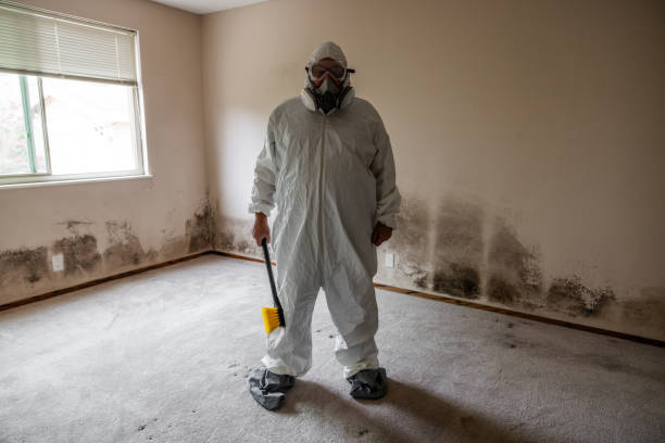 Best Biohazard Mold Removal  in Grandy, NC